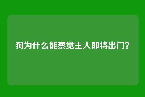 狗为什么能察觉主人即将出门？
