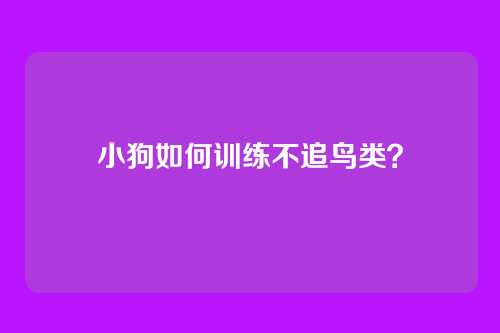 小狗如何训练不追鸟类？