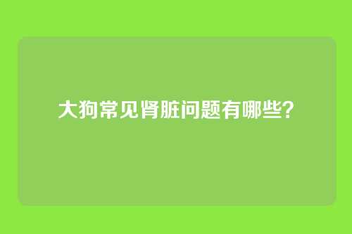 大狗常见肾脏问题有哪些？