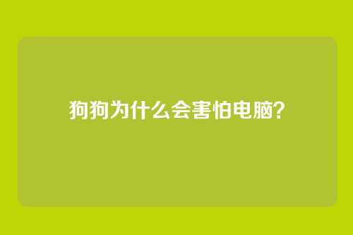 狗狗为什么会害怕电脑？