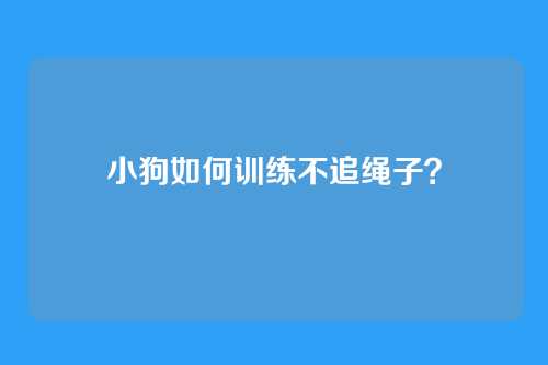 小狗如何训练不追绳子？