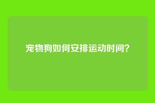 宠物狗如何安排运动时间？