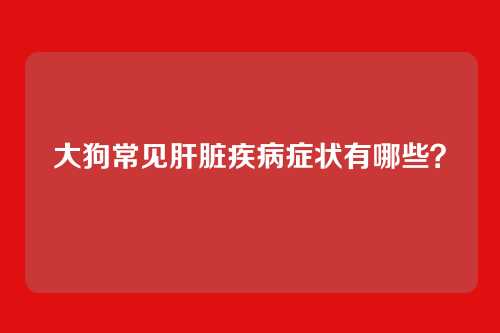 大狗常见肝脏疾病症状有哪些？