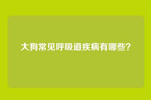 大狗常见呼吸道疾病有哪些？