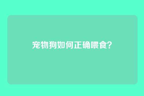 宠物狗如何正确喂食？