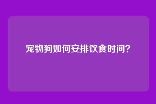 宠物狗如何安排饮食时间？