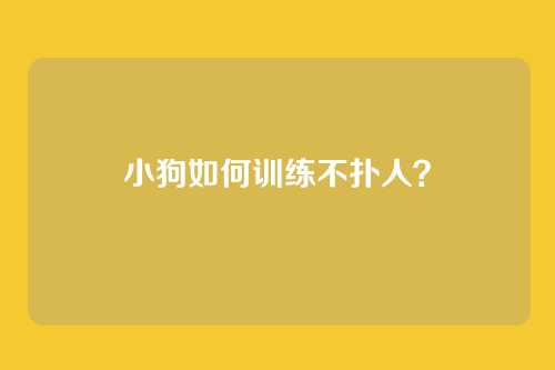 小狗如何训练不扑人？