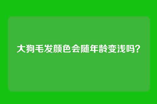 大狗毛发颜色会随年龄变浅吗？