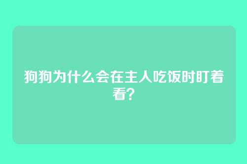 狗狗为什么会在主人吃饭时盯着看？