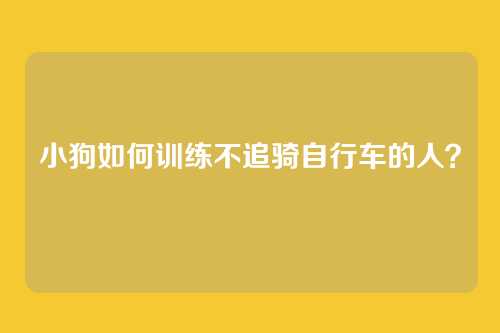 小狗如何训练不追骑自行车的人？