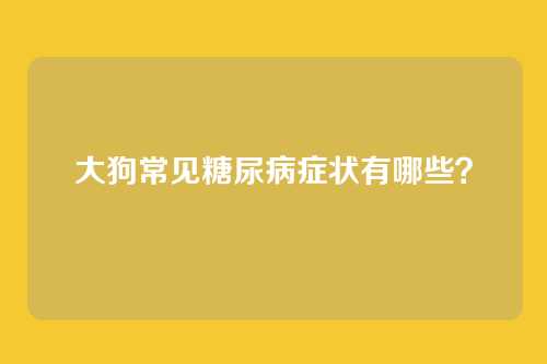 大狗常见糖尿病症状有哪些?
