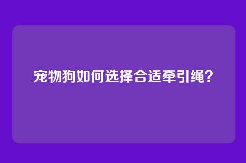 宠物狗如何选择合适牵引绳？