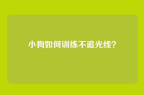 小狗如何训练不追光线?
