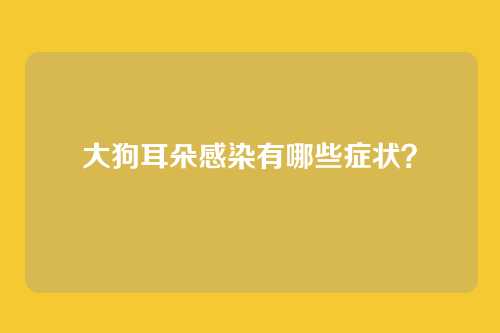 大狗耳朵感染有哪些症状？