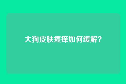大狗皮肤瘙痒如何缓解？