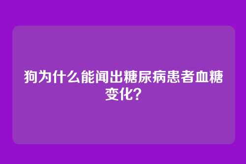 狗为什么能闻出糖尿病患者血糖变化?