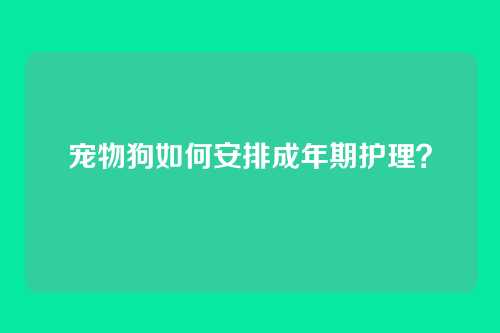 宠物狗如何安排成年期护理？