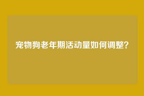 宠物狗老年期活动量如何调整？