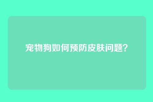 宠物狗如何预防皮肤问题？