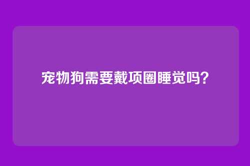 宠物狗需要戴项圈睡觉吗？