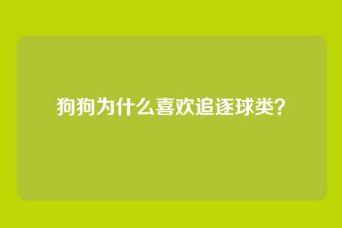 狗狗为什么喜欢追逐球类？