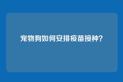 宠物狗如何安排疫苗接种?