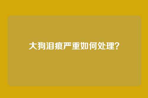 大狗泪痕严重如何处理？