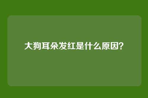 大狗耳朵发红是什么原因?