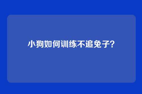 小狗如何训练不追兔子？