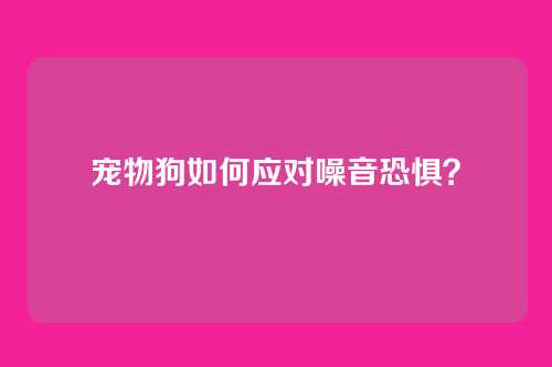 宠物狗如何应对噪音恐惧？