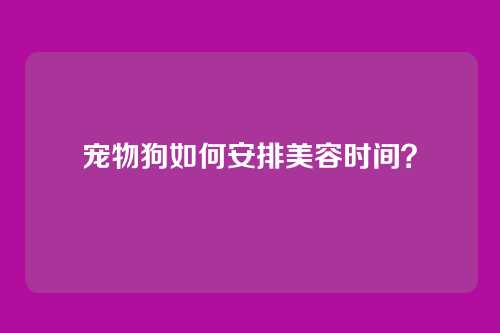宠物狗如何安排美容时间？