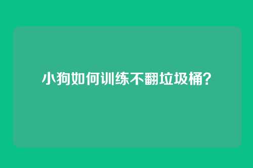 小狗如何训练不翻垃圾桶?