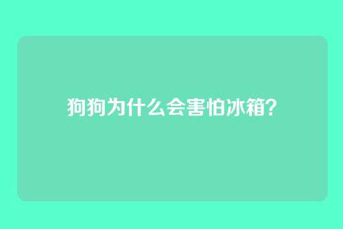 狗狗为什么会害怕冰箱?