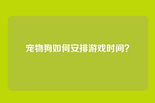 宠物狗如何安排游戏时间？