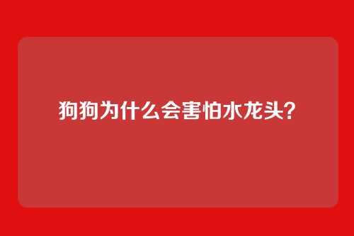 狗狗为什么会害怕水龙头？
