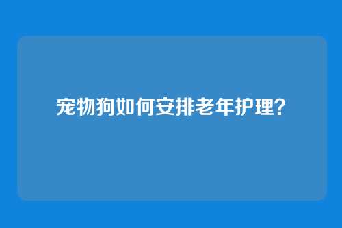 宠物狗如何安排老年护理？