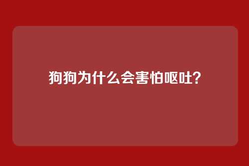 狗狗为什么会害怕呕吐?