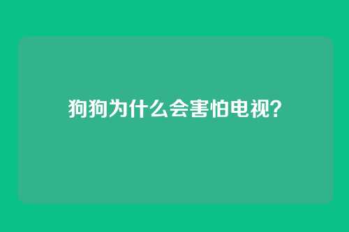 狗狗为什么会害怕电视？