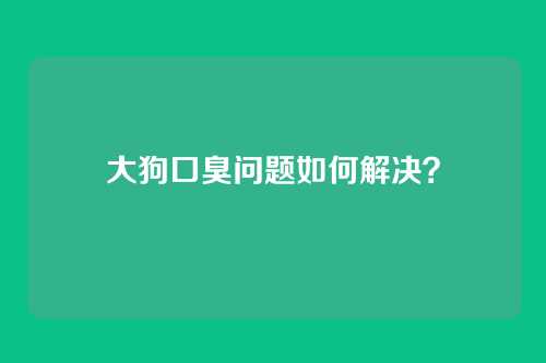 大狗口臭问题如何解决？