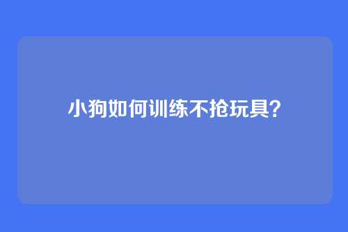 小狗如何训练不抢玩具?