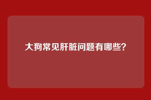 大狗常见肝脏问题有哪些？