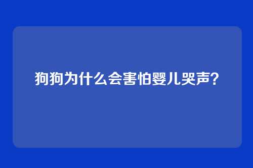 狗狗为什么会害怕婴儿哭声?