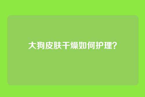 大狗皮肤干燥如何护理？