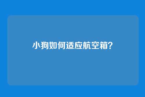 小狗如何适应航空箱？