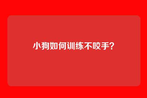 小狗如何训练不咬手？