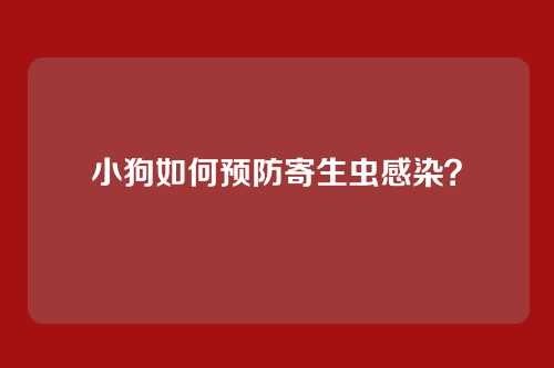 小狗如何预防寄生虫感染？