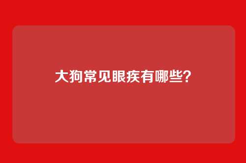 大狗常见眼疾有哪些？