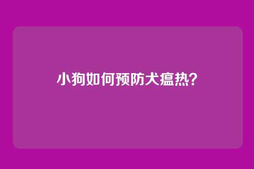 小狗如何预防犬瘟热？