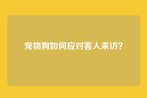宠物狗如何应对客人来访?