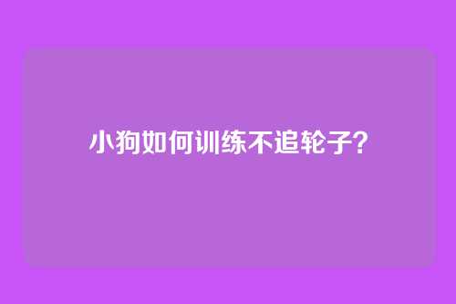 小狗如何训练不追轮子？